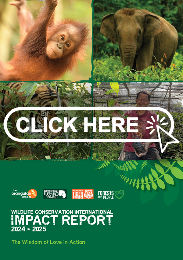 Download our Impact Report